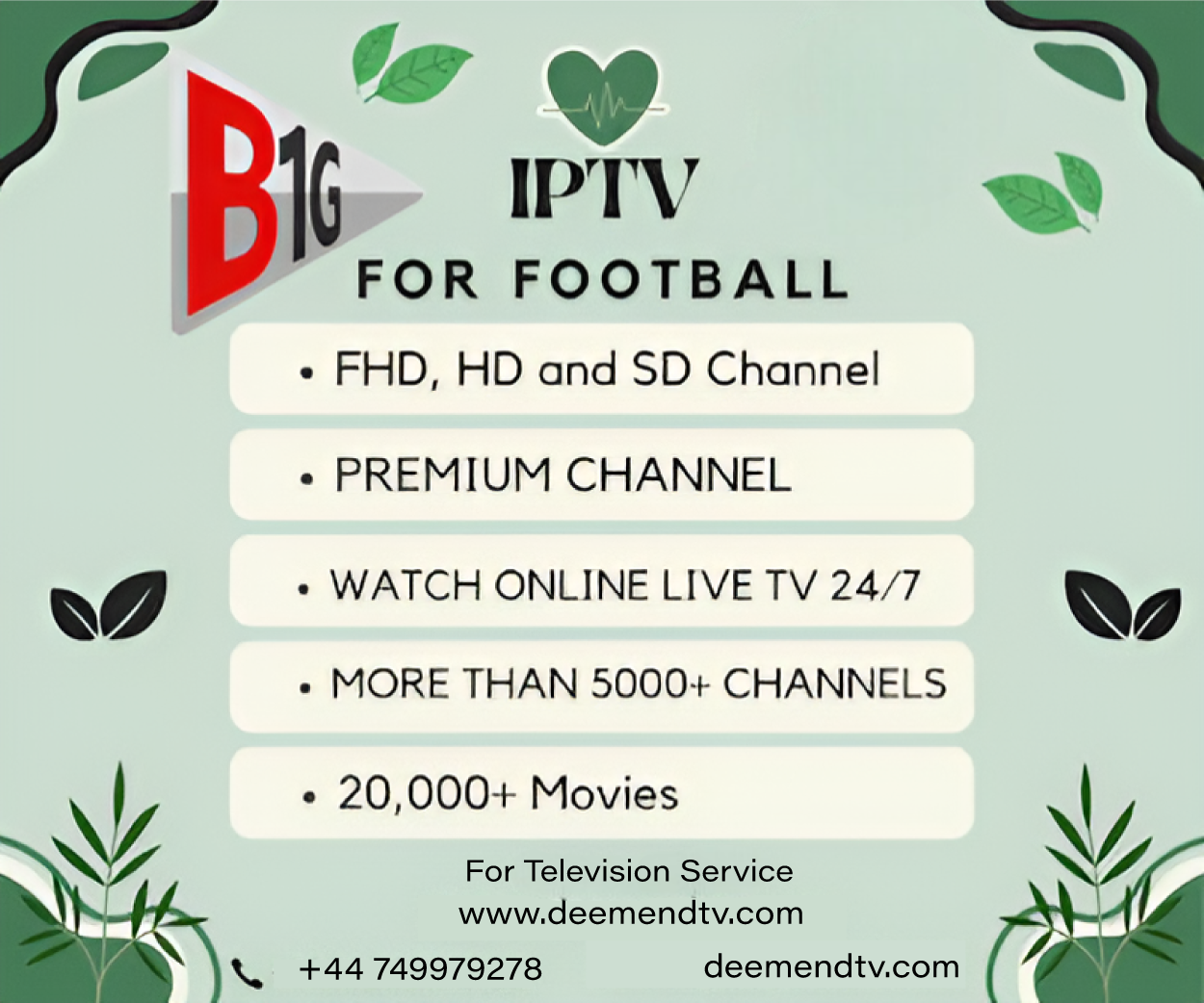 BEST B1G IPTV